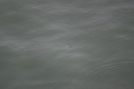 Missing Picture